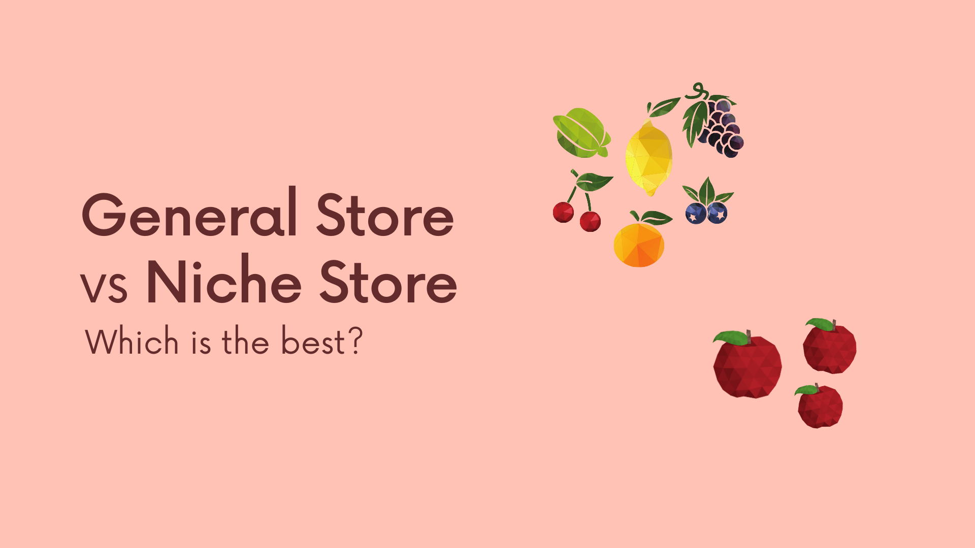 General Store vs Niche Store – Which Is the Best? – Nimble Blog